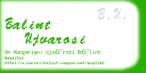 balint ujvarosi business card